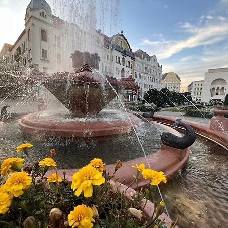 Downtown Apartment Timisoara Esterno foto