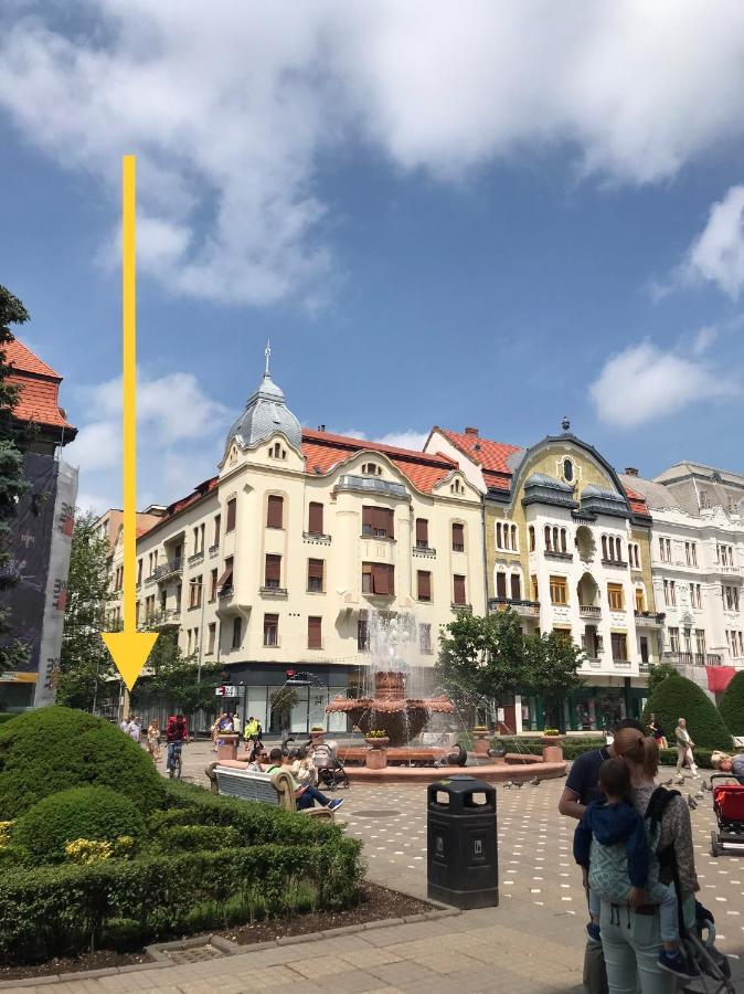 Downtown Apartment Timisoara Esterno foto
