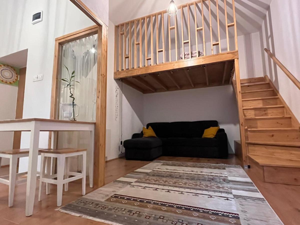 Downtown Apartment Timisoara Esterno foto