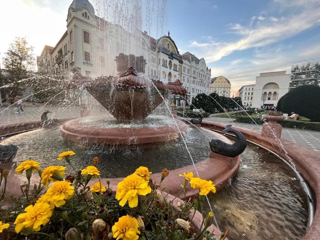 Downtown Apartment Timisoara Esterno foto